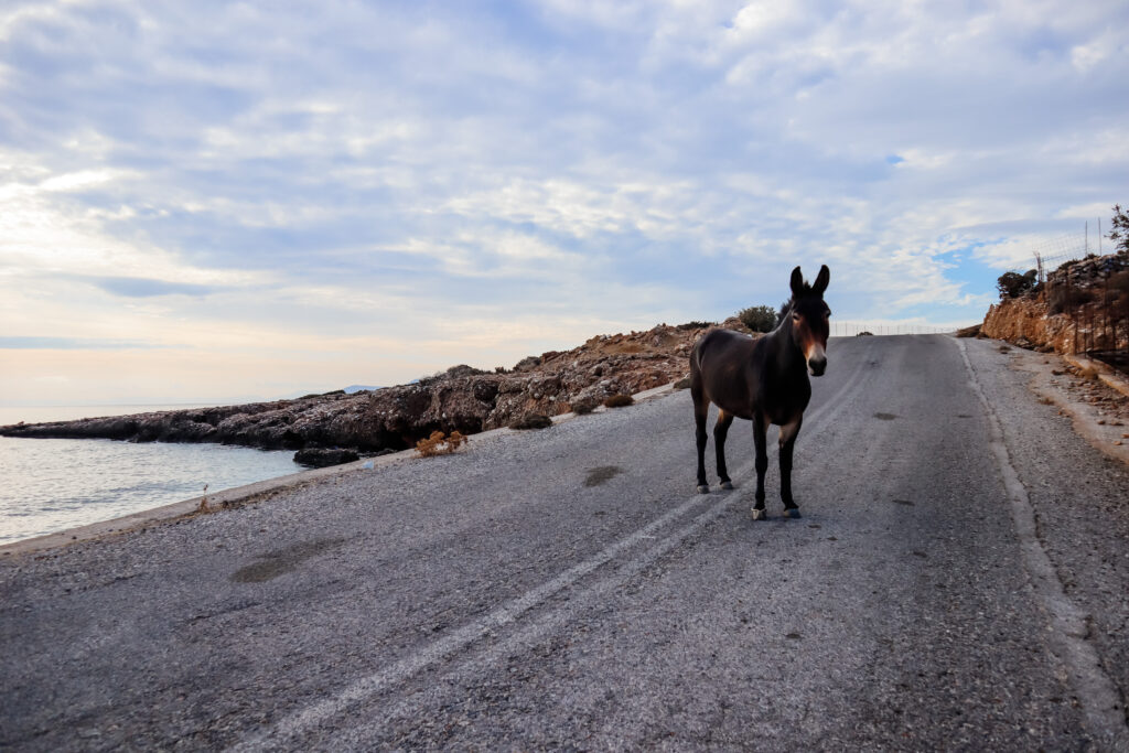 Panermos Beach in Naxos - greece itinerary 7 days