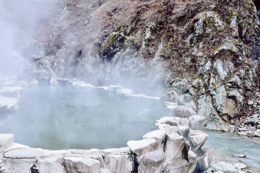 snow monkeys nagano japan itinerary 10 days