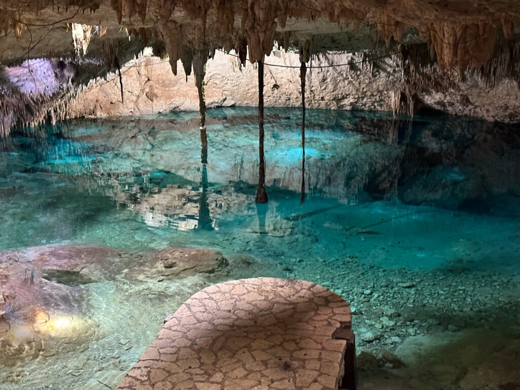 Taak Bi Ha Cenote - the BEST Tulum Cenote