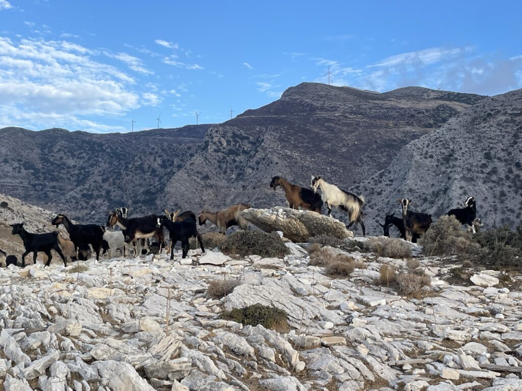 Panermos Beach in Naxos - greece itinerary 7 days