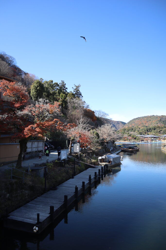 Arashiyama Bamboo forrest near Kyoto, a great place to add to your Japan itinerary for first time travelers