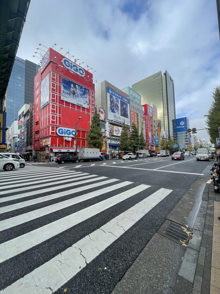 Akihabara street photo Easy 10 day Japan Itinerary for FIRST TIMERS!