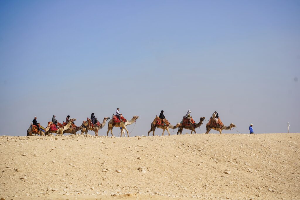 Camels at the Pyramids of Giza Blog Egypt Itinerary 7 Days of Iconic Ancient Wonders