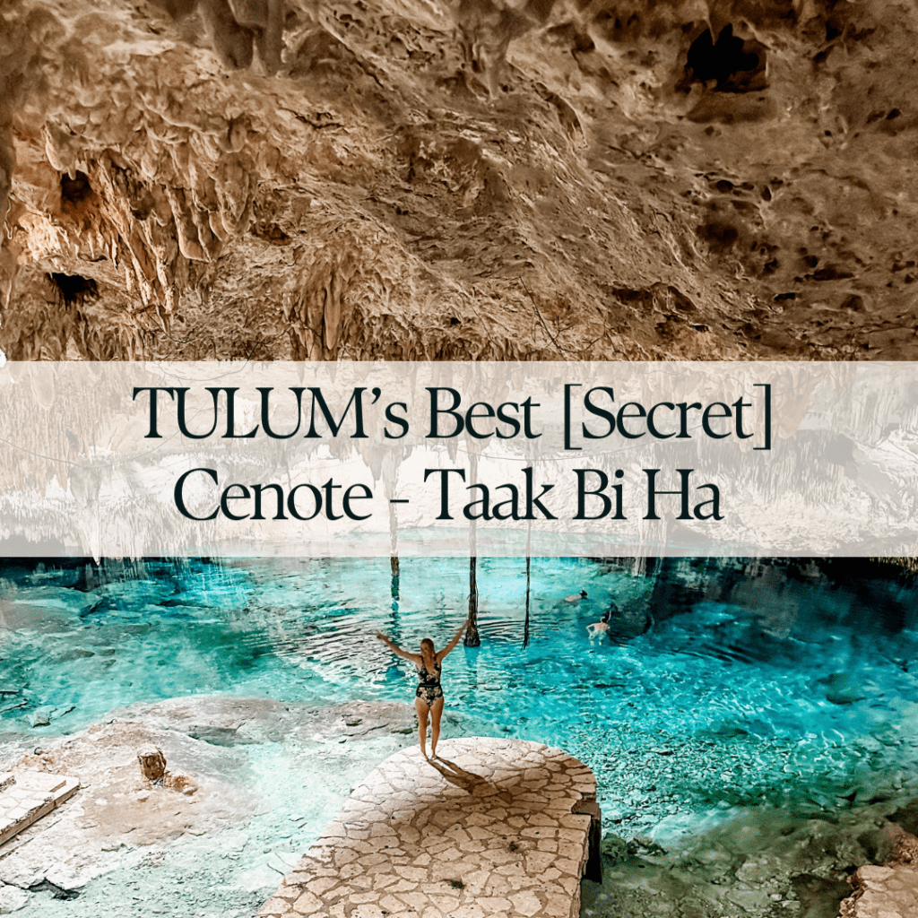 Best Cenote in Tulum: Taak Bi Ha Cenote