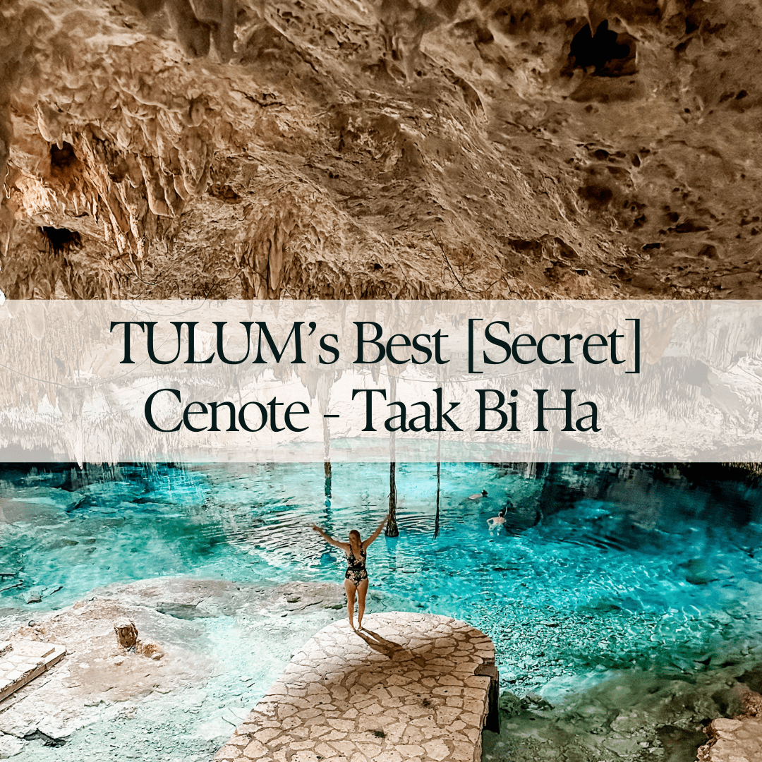 BEST Tulum Cenote Taak Bi Ha [That no-one knows about]