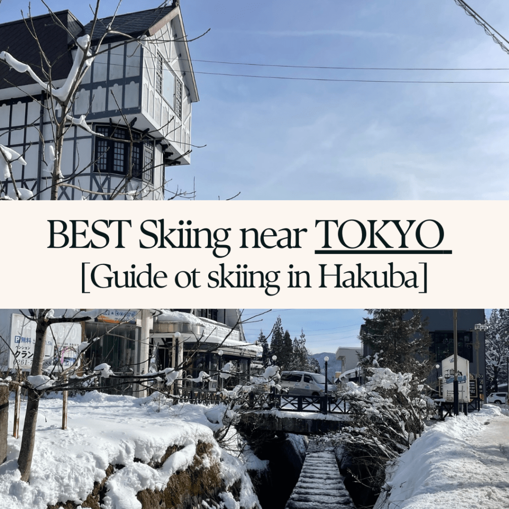 Blog cover: Skiing in Japan - The Best ski fields near Tokyo