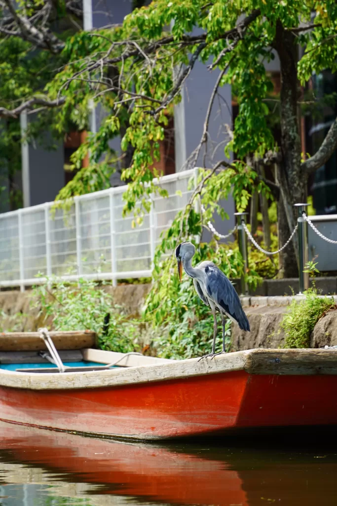 Yanagawa River - the Venice of Kyushu