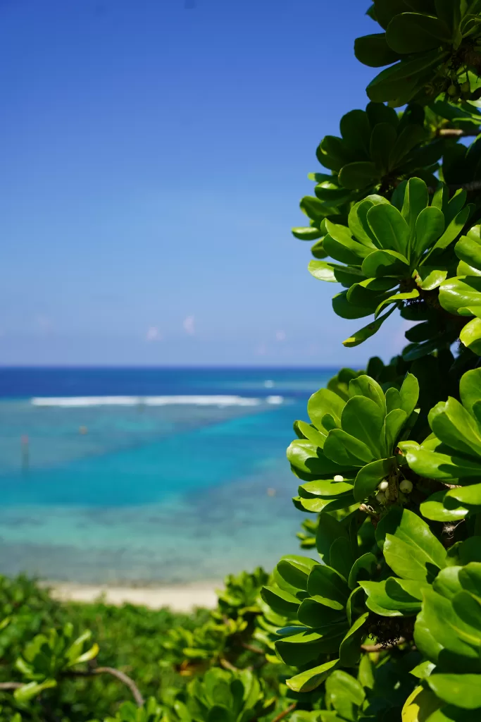 Onna Beach Okinawa -where to stay in Okinawa Honto