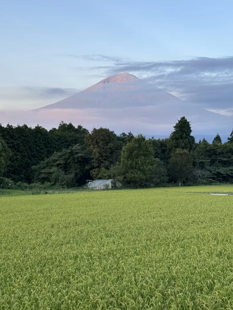 Top 15 Things to do in MOUNT FUJI in Japan
