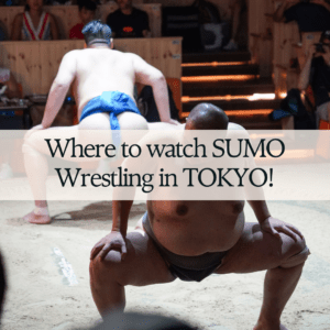 Where to Watch Sumo Wrestling in Tokyo