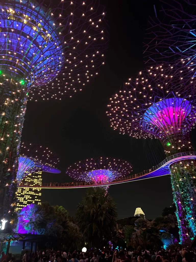 Light Show at the Gardens by the Bay in Singapore