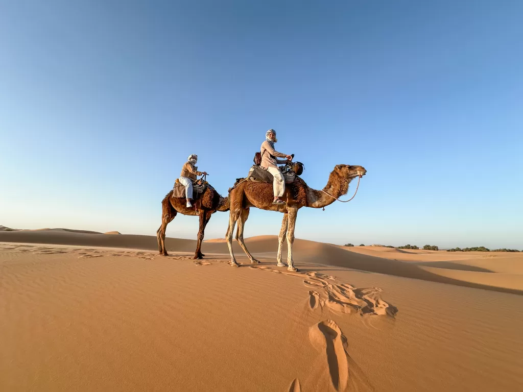 Merzouga Camel Safari Morocco