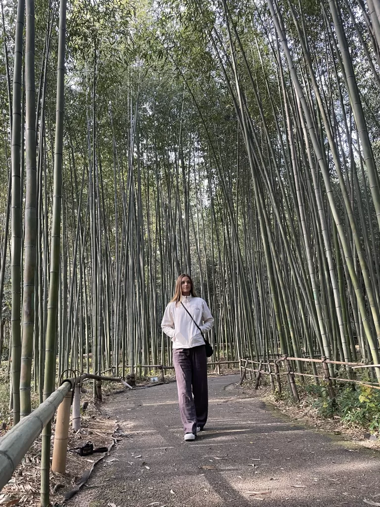 Arashiyama Bamboo Forrest - Kyoto itinerary things to do in Kyoto