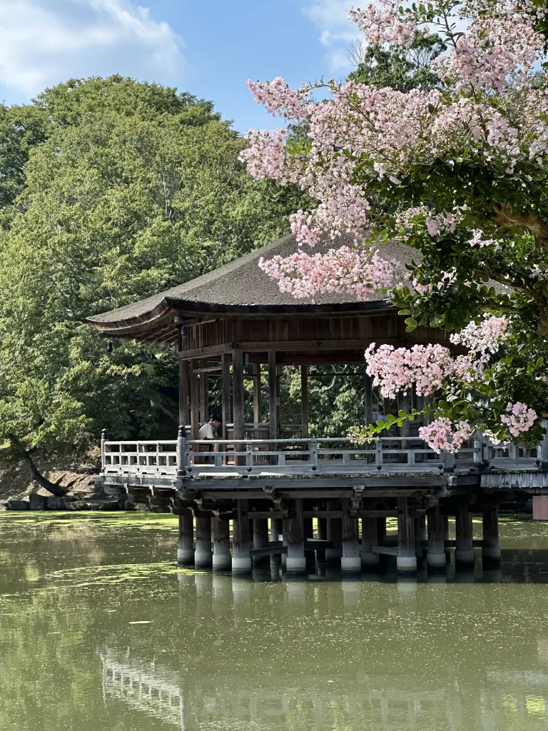 Sage-ike pond at Nara Deer Park in Osaka